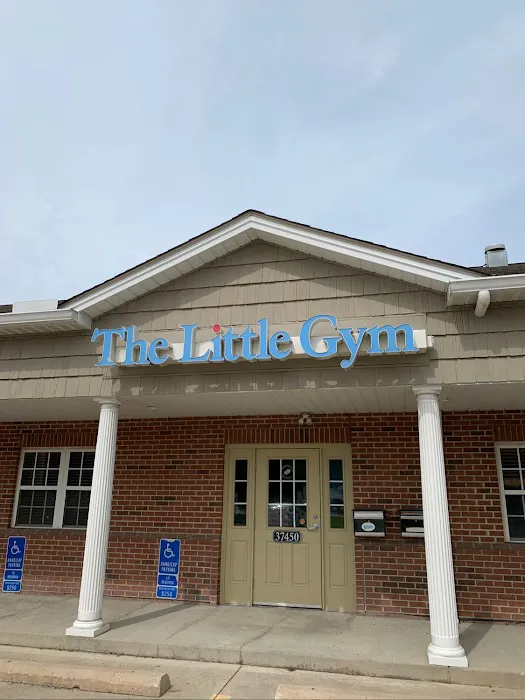 The Little Gym of Avon Picture 7