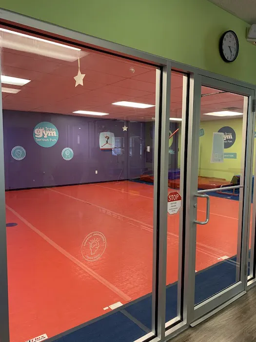 The Little Gym of Avon Picture 5