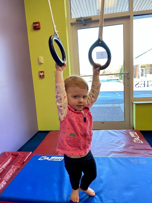 The Little Gym of Littleton Picture 10