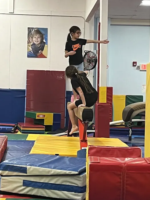 The Little Gym of Littleton Picture 4