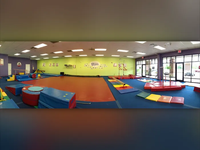 The Little Gym of Glenview Picture 8
