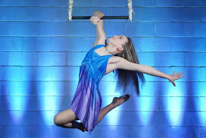 Akrosphere Aerial & Circus Arts Picture 6