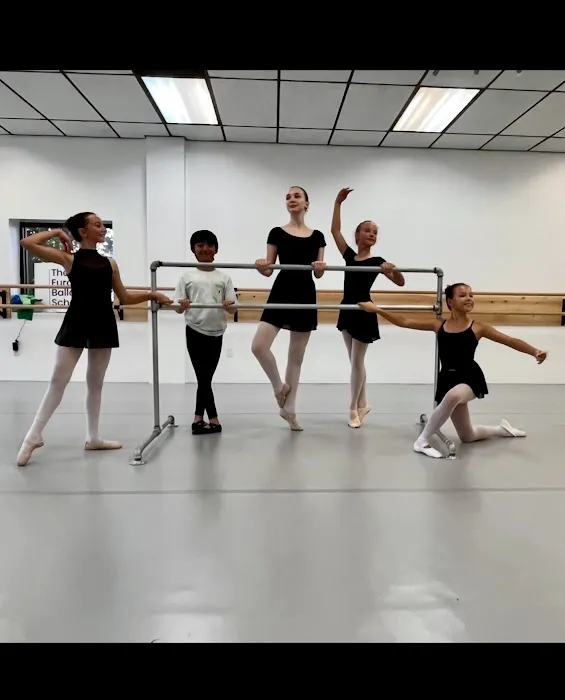 The European Ballet School Picture 5
