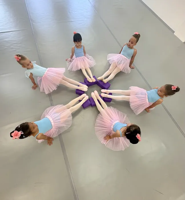 The European Ballet School Picture 6
