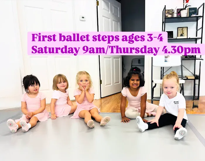 The European Ballet School Picture 3
