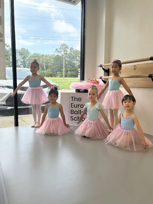 The European Ballet School Picture 10