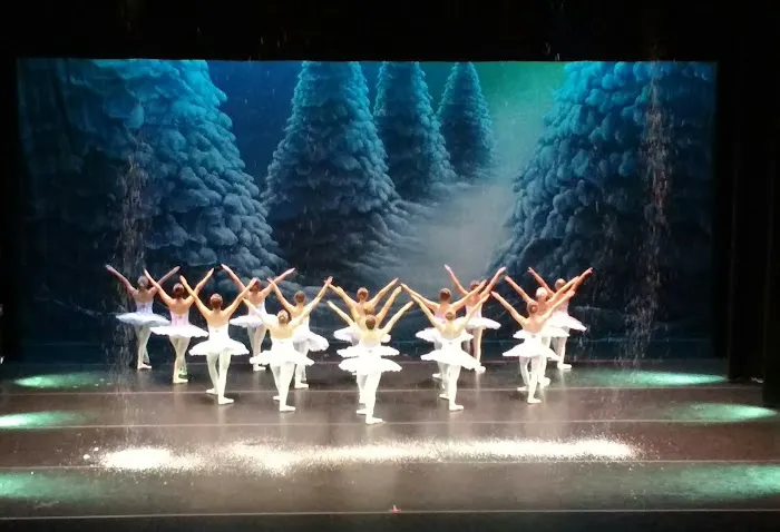 St John's School of the Arts Picture 5