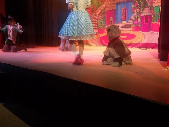 Tampa Bay Performing Arts Academy Picture 6