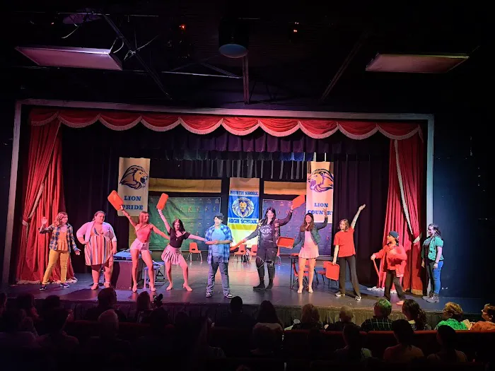 Tampa Bay Performing Arts Academy Picture 5