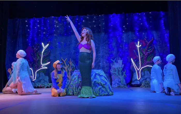 Tampa Bay Performing Arts Academy Picture 2