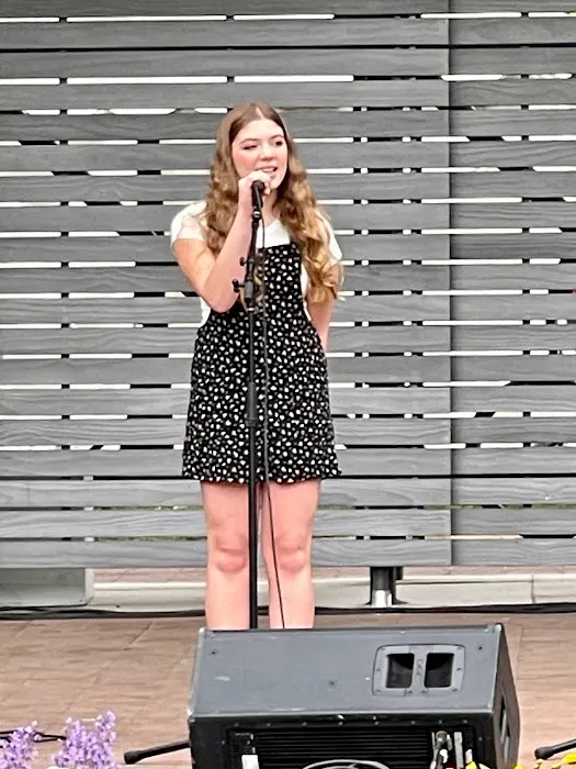 Rising Stars Performing Arts Academy Picture 3