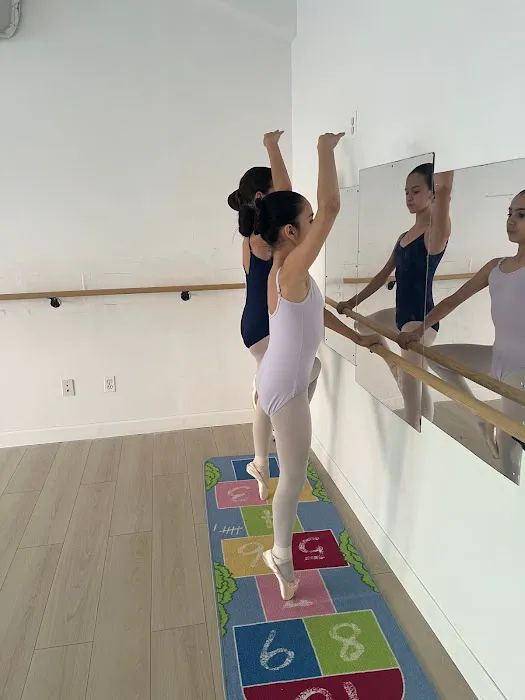 Extra Pirouette Picture 7