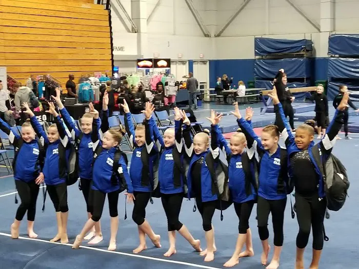 World Class Gymnastics Academy Picture 3