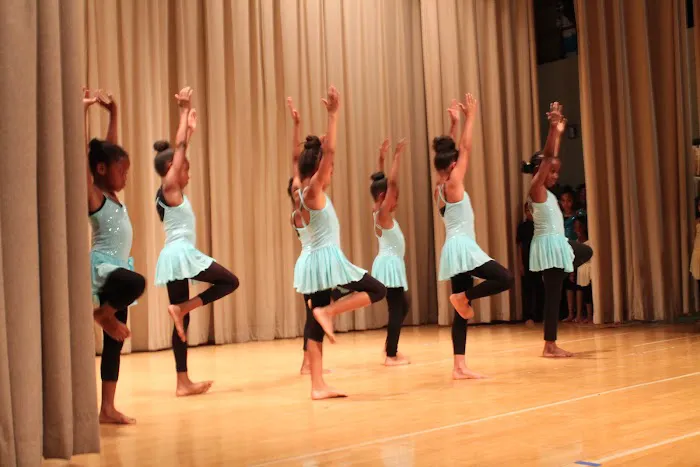 Brooklyn Center for the Arts Picture 3