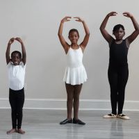Brooklyn Center for the Arts ico