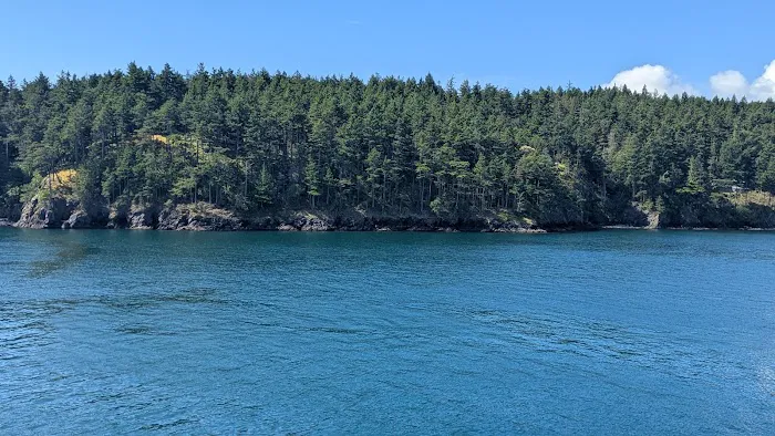 Salish Sea Ballet Picture 2