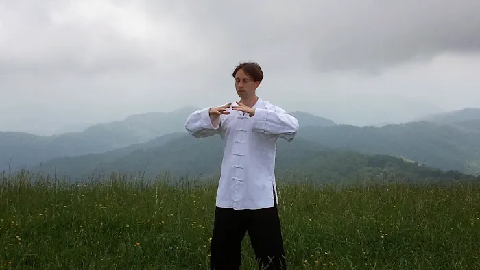 Dragon Phoenix Picture 2