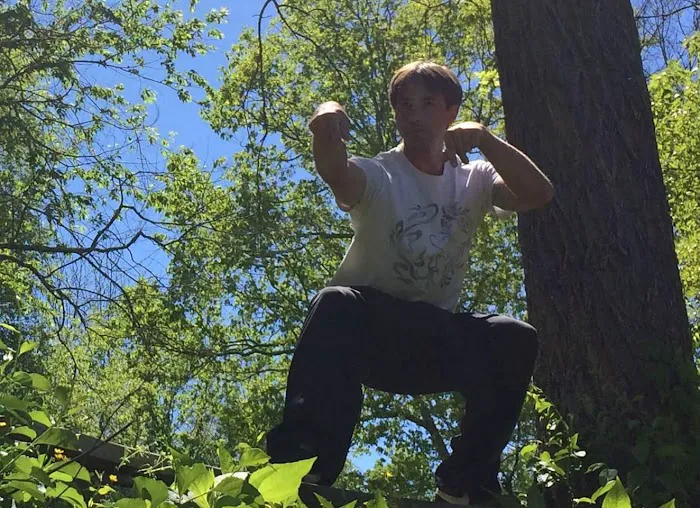 Dragon Phoenix Picture 6