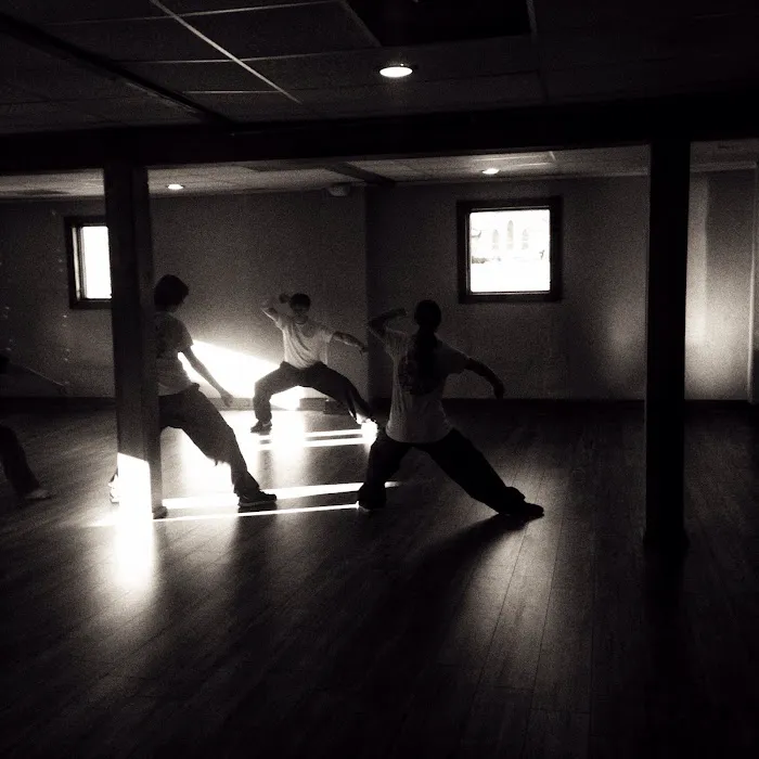 Dragon Phoenix Picture 10