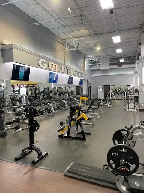 Gold's Gym Picture 4