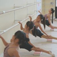 Classical Chinese Classical Art ico