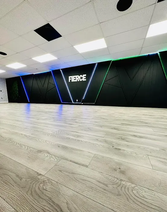 Fierce Dance Studio Picture 2
