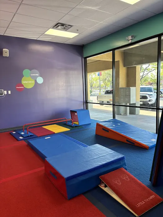 The Little Gym of Elk Grove, CA Picture 8