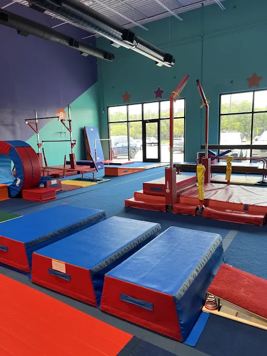 The Little Gym of League City/Webster Picture 9