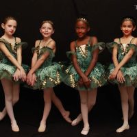Taylor Academy of Fine Arts ico