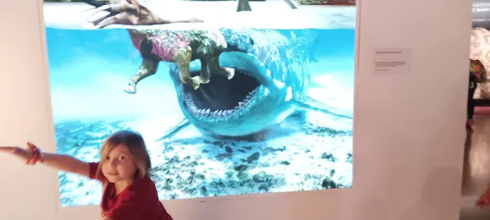 The Jet-Pac Picture 3