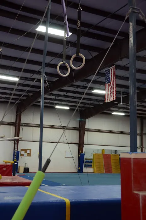 Champion Gymnastics Picture 4