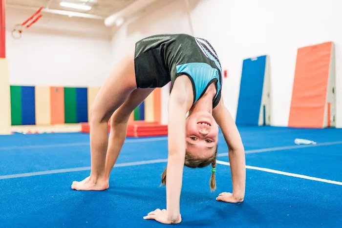 Champion Gymnastics Picture 9