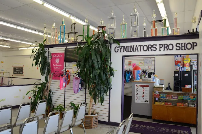 Gyminators Gymnastics-Tumbling Picture 2