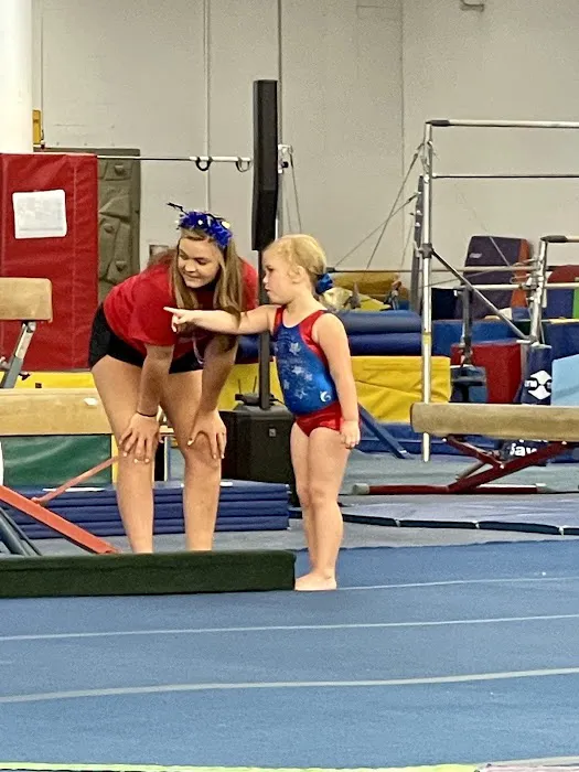 Gyminators Gymnastics-Tumbling Picture 10