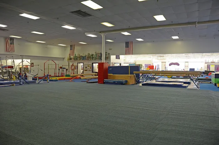 Gyminators Gymnastics-Tumbling Picture 7