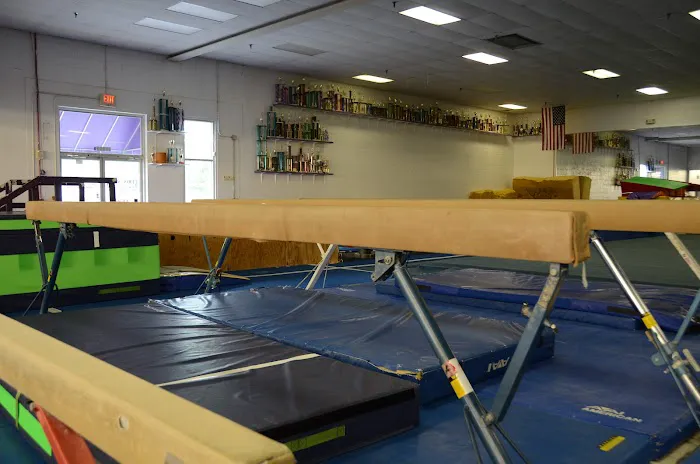 Gyminators Gymnastics-Tumbling Picture 3