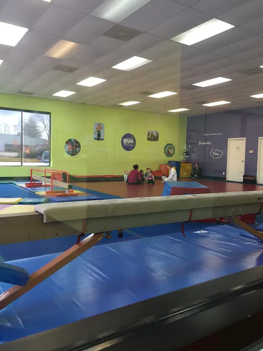 The Little Gym of St Charles County Picture 8