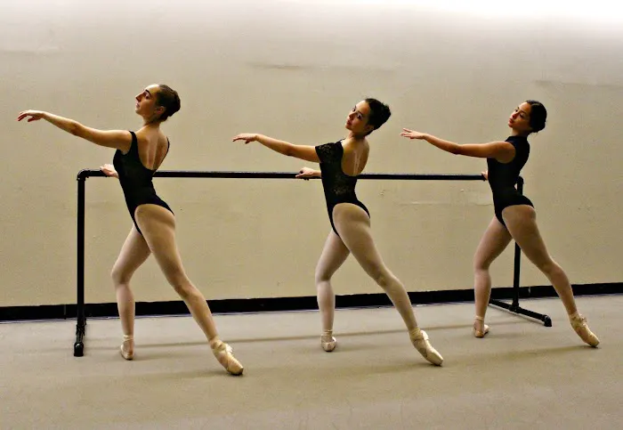 Vassiliev Academy of Classical Ballet Picture 10