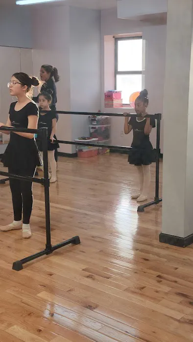 Multi Arts Academy Picture 5