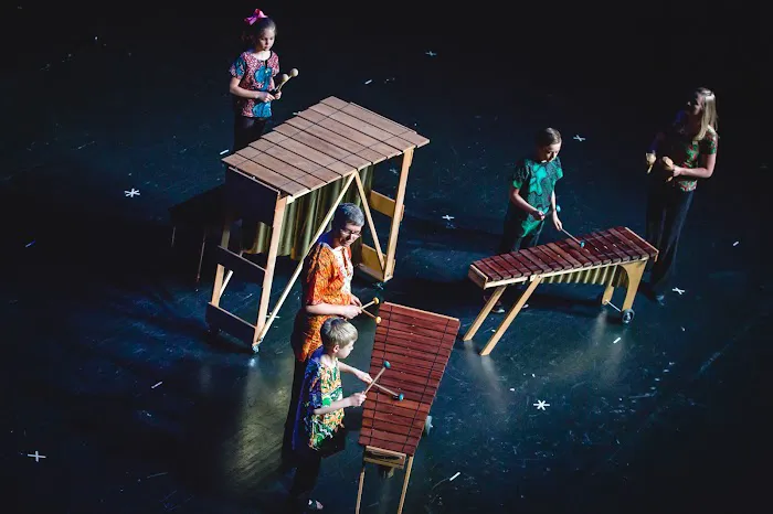 Wirth Center for the Performing Arts Picture 8