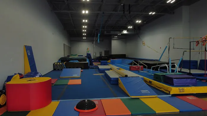 Hi-NRG Gymnastix - O'Fallon Picture 5
