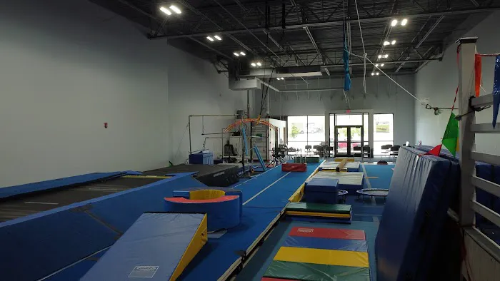 Hi-NRG Gymnastix - O'Fallon Picture 4