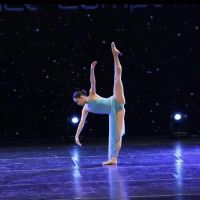 Golden Peacock School of Dance ico