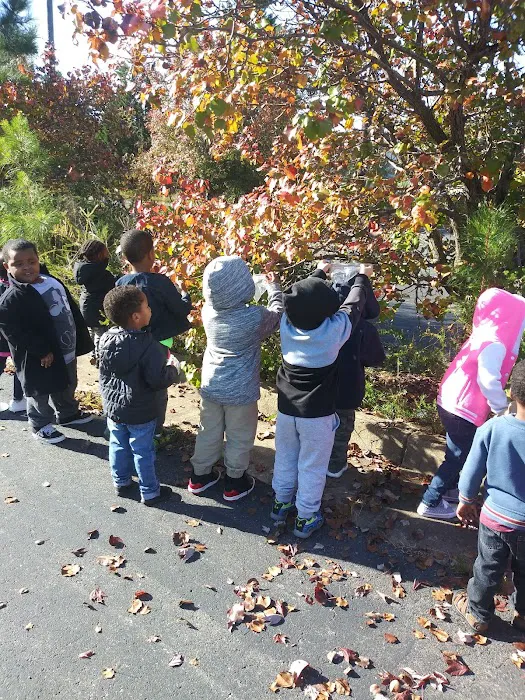 The ARTS Community Center Picture 7