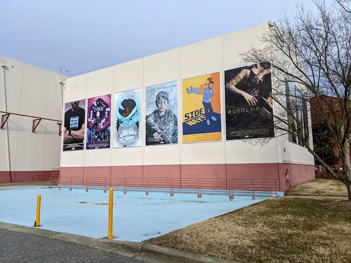 University of North Carolina School of the Arts Picture 6