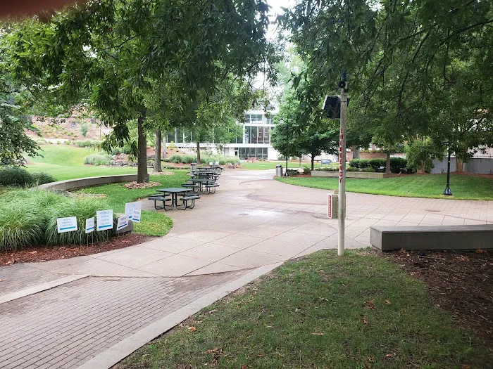 University of North Carolina School of the Arts Picture 1