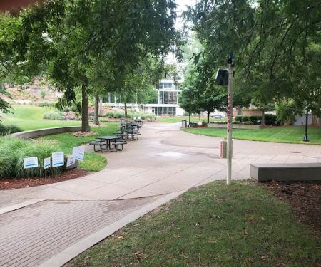 University of North Carolina School of the Arts