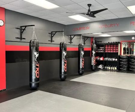 Thai Kickboxing Organization