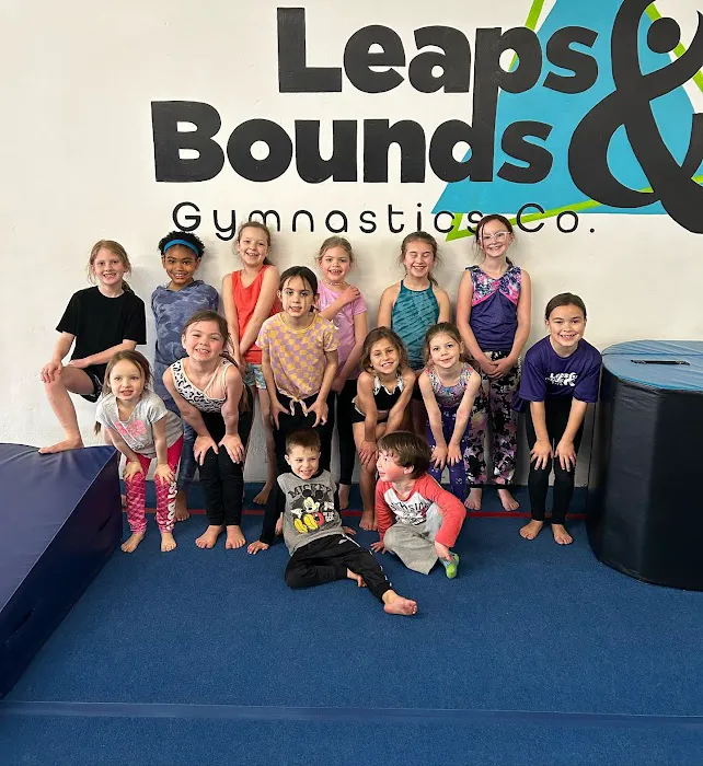 Leaps & Bounds Gymnastics Company Picture 3