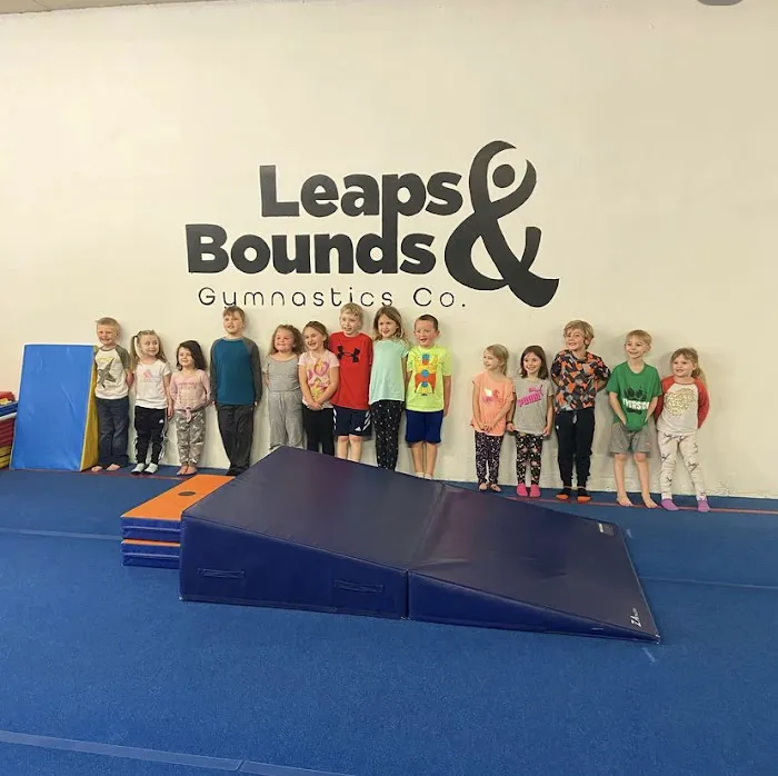Leaps & Bounds Gymnastics Company Picture 5